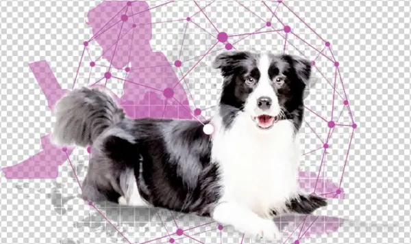 Snouts Towards Technology - University Of Helsinki