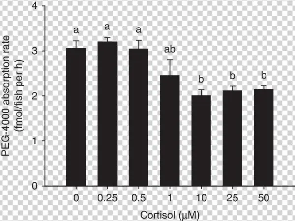 The Epithelial Permeability Reduces With Increasing - Mean