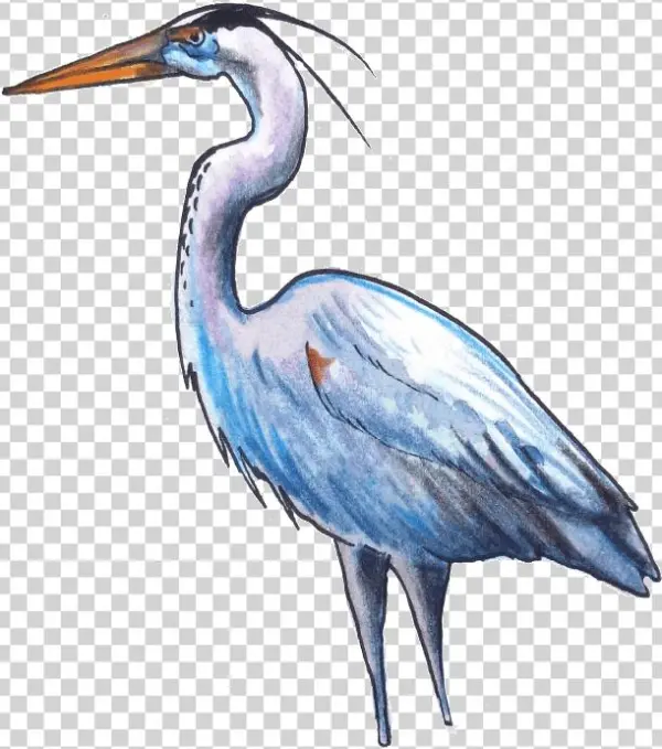 The Fish Eaters - Fish