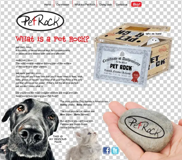 Whatis Mapped Img - Whats A Pet Rock