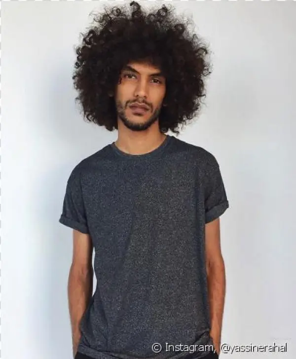 Cabelo Black Power Png