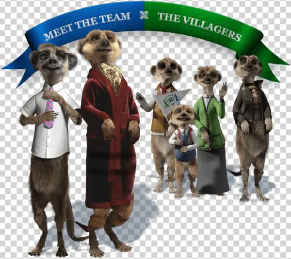 Compare The Meerkat Names - Compare The Meerkat