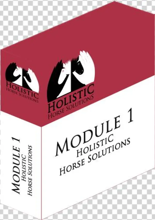 Course Outline - Course