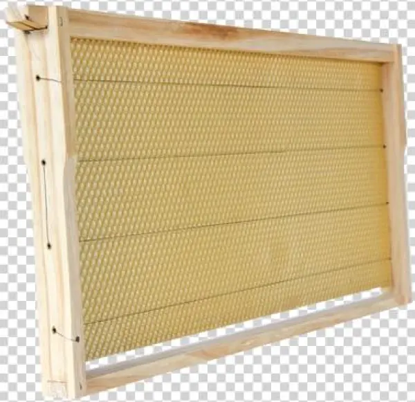 Frame, Assembled, Wired And Waxed - Wax