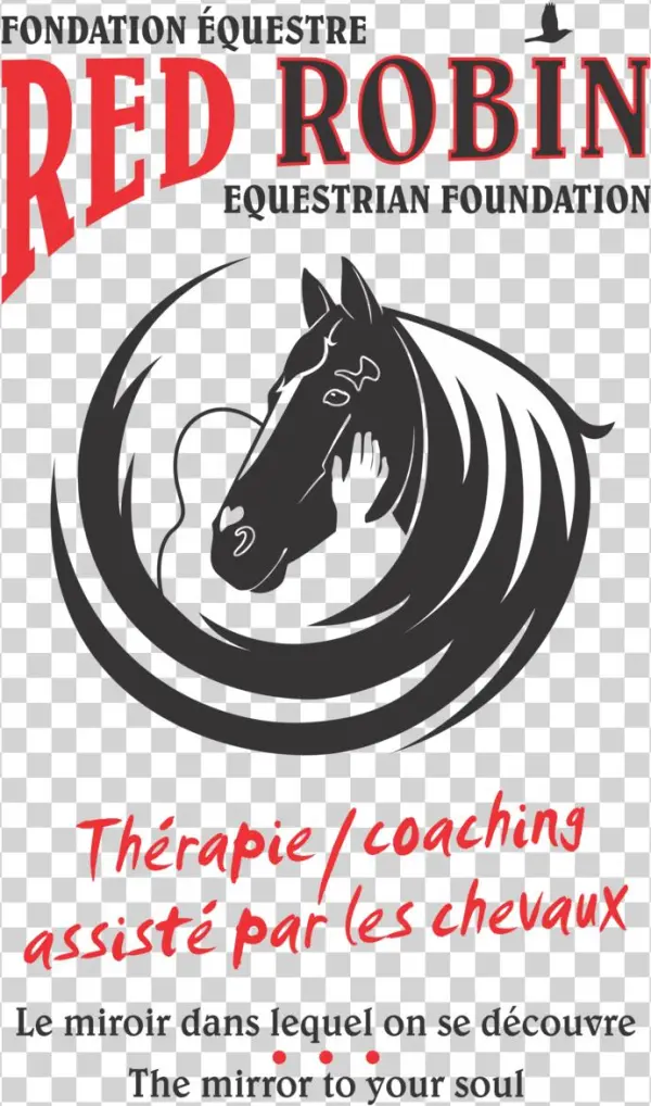 Red Robin F Man - Equestrianism