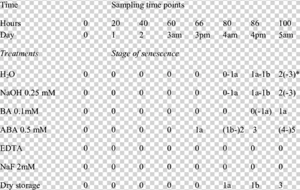 Stage Of Senescence Of Iris Flag Petals Corresponding - Number