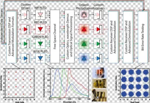 We Are Particularly Interested In Wavelength Division - Essay