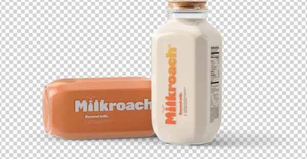 Experience Cock Roach Milk The New Superfood - Design