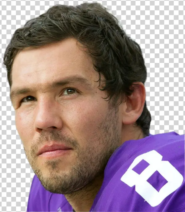 From Revenge Of The Birds