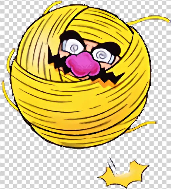 Ball O' String Wario Wl3
