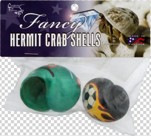 Conceptual Creations Pet Products Fancy Hermit Crab