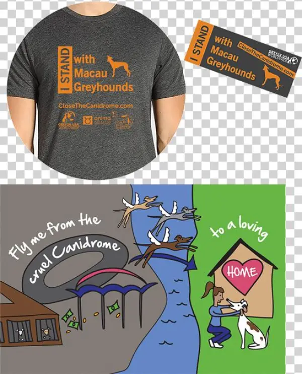 Donate To Save Macau Greyhounds