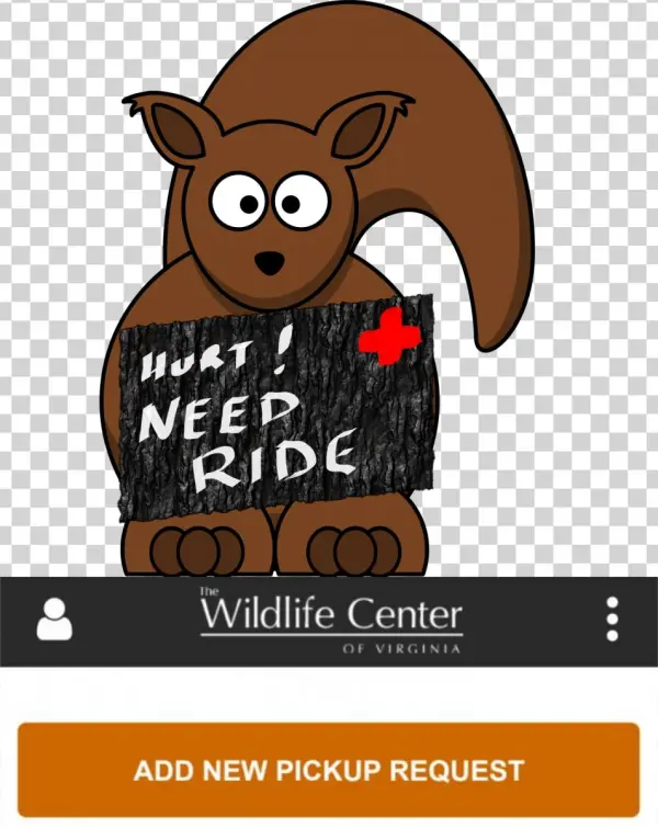 Enter The Mythical Transporter App