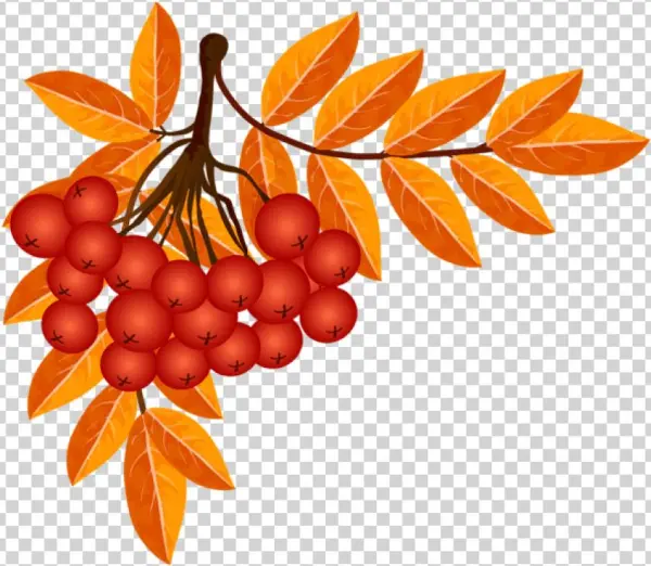 Free Png Fall Decoration Png Images Transparent