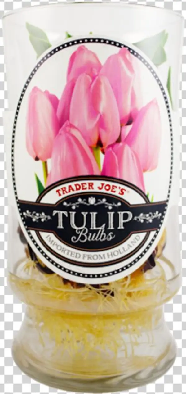 Get This And Hundreds Of Other Trader Joe's Favorites