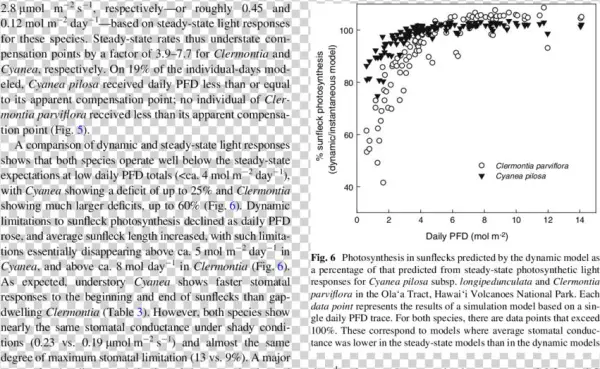 Total Daily Photosynthesis As A Function Of Daily Pfd