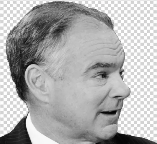 Vice Presidential Debate Bingo