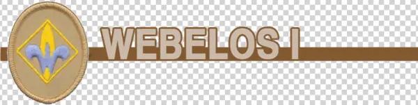 Webelos I Scouts
