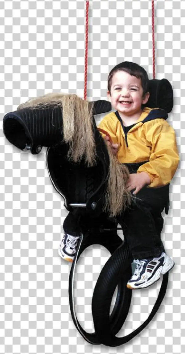 Wholesale Tire Swings, Horse Tire Swings,motorcycle,dragon