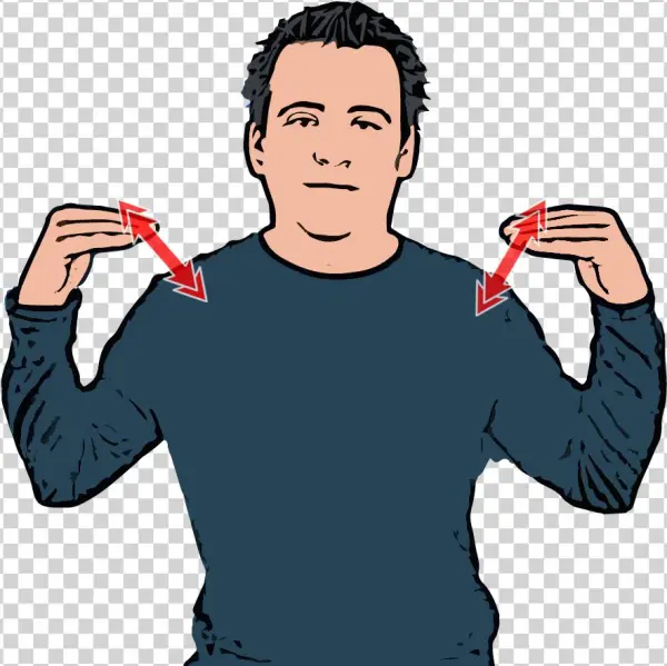 British Sign Language