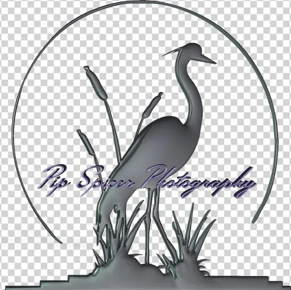 Heron Png