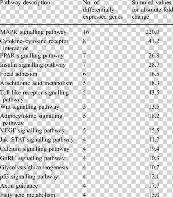 Signalling Pathways After Acute Exercise In Descend-