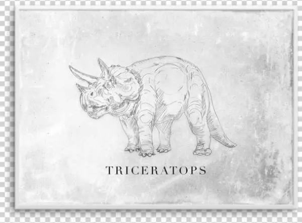 Triceratops Ls