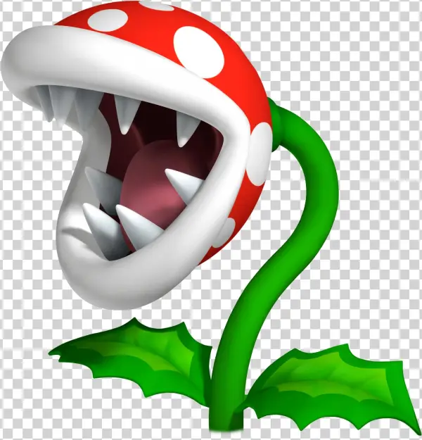 1mib, 1641x1719, Piranhapflanze