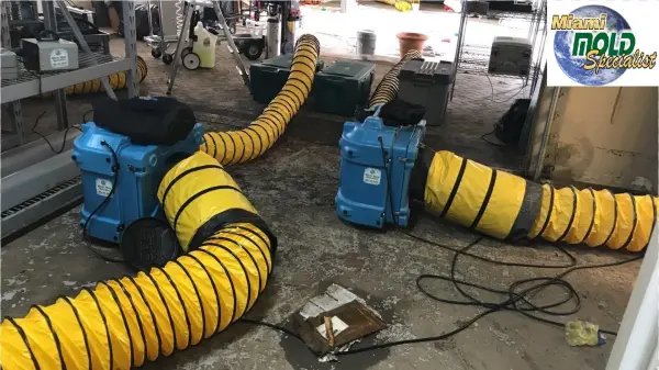 Air Scrubber, Sistema De Filtración Portátil Que Elimina