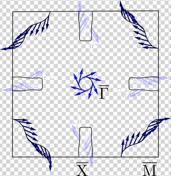Calculated Fermi Surface And Spin Texture Of Bi