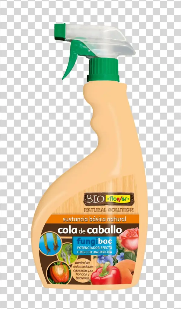 Cola De Caballo Listo Uso