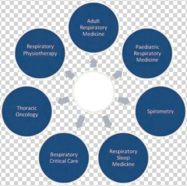 Figure 3 The Hermes Projects