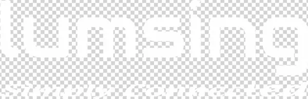 Les Batteries Externes Lumsing