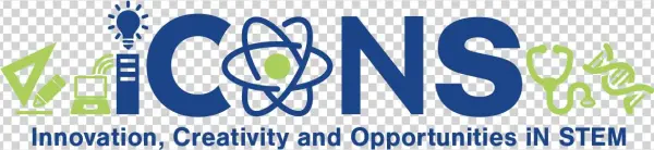 Software Engineering - Program Description