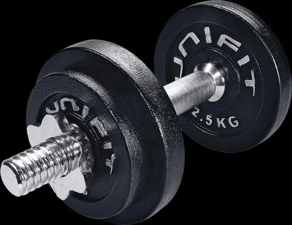 The Dumbbell, A Type Of Free Weight, Is A Piece Of