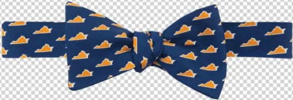 Virginia Charlottesville Gameday Bowtie In Navy By