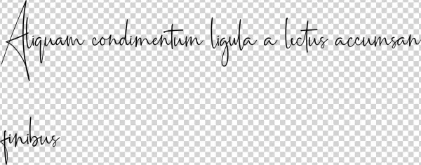 72pt Ainsley-regular - Handwriting