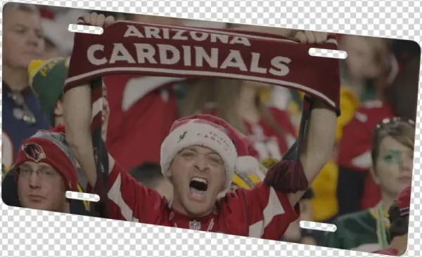 Arizona Cardinals Fan