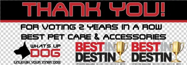 Dog Cat Christmas - Matssoft