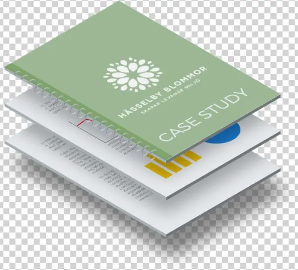 Electronic Signatures For B2b Sales - Paper