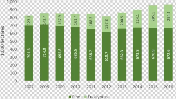 Forest Industry Of Brazil