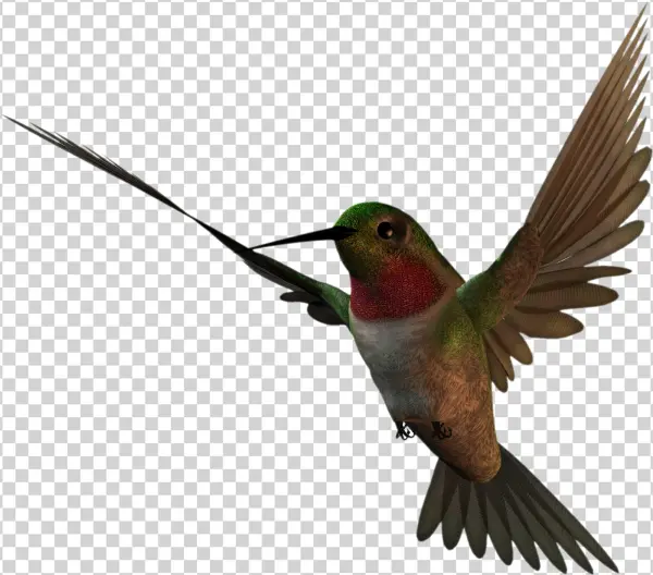 Free High Resolution Graphics And Clip Art