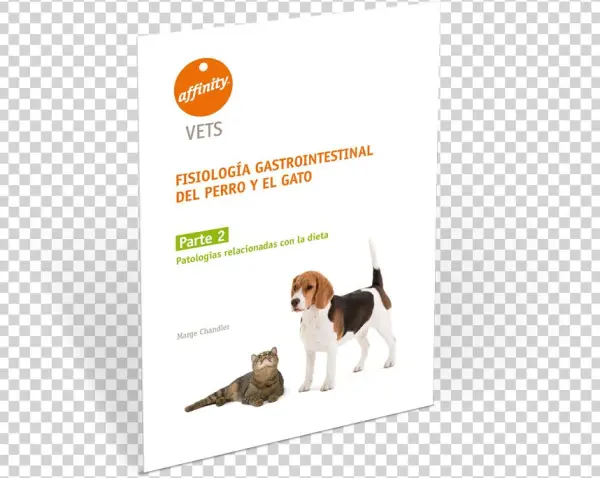 Guía Gastrointestinal Parte