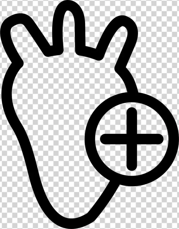 Heart Outline With A Plus Sign Comments - Icon