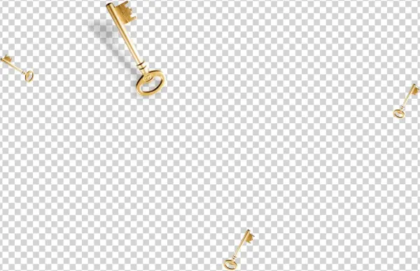 Ownership - Body Jewelry