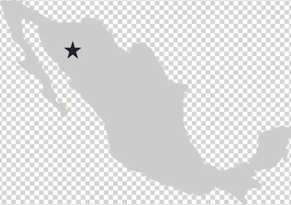 Pinos Altos - Mexico Svg