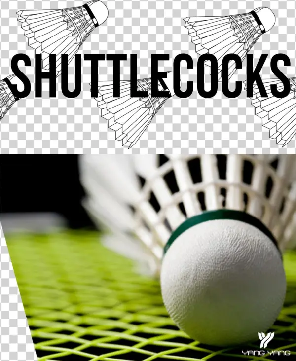 Shuttlecock - Badminton Olympics 2012