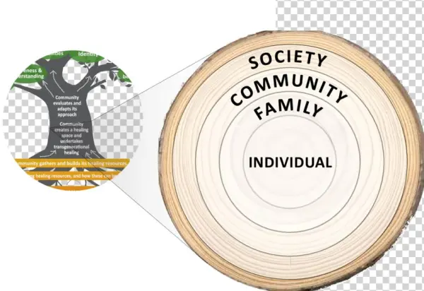 Social Ecological Model Within The Collective Healing