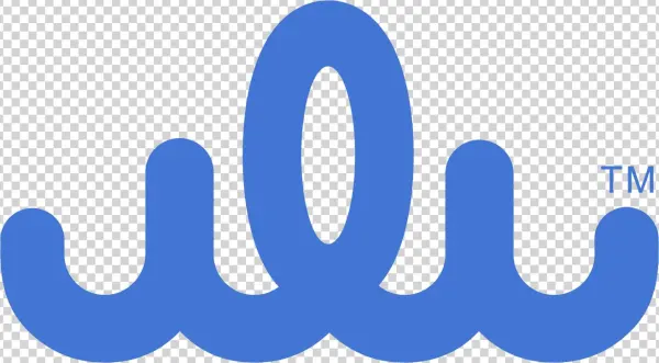 Wyse Women - Graphic Design