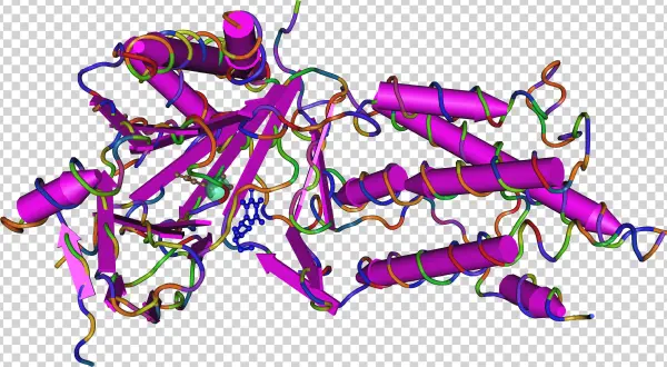 3lfm Fat Mass And Obesity Associated Protein - Fto Protein